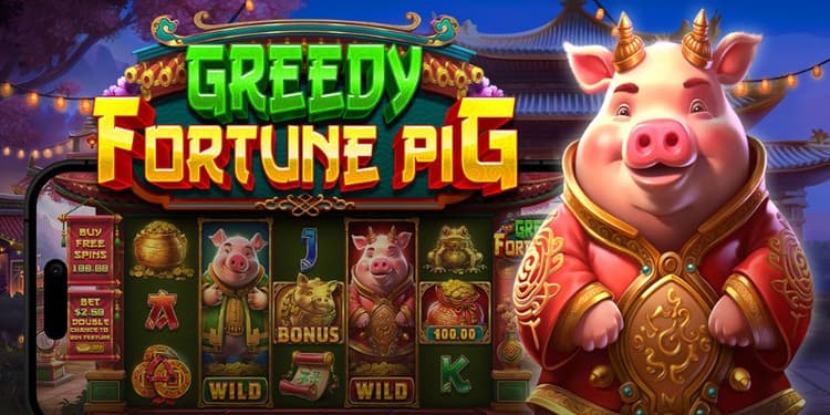 Greedy Fortune Pig