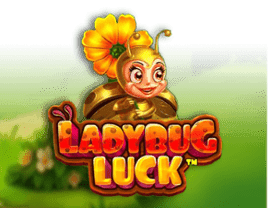 Ladybug Luck