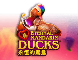 Power Prizes – Eternal Mandarin Ducks